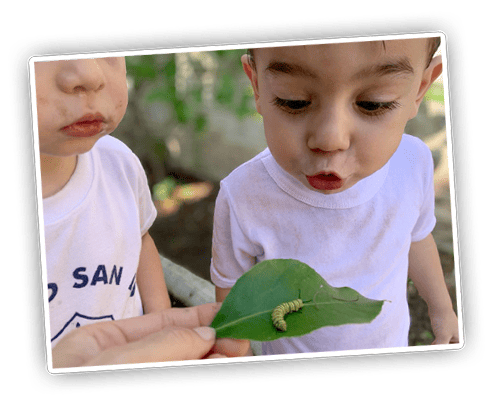 niños-viendo-oruga