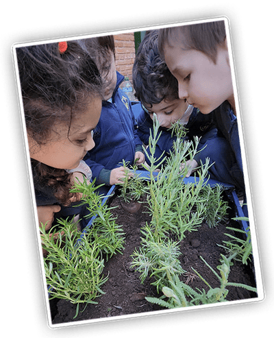 niños-viendo-plantas